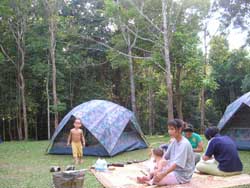 Camping in Khao Yai National Park